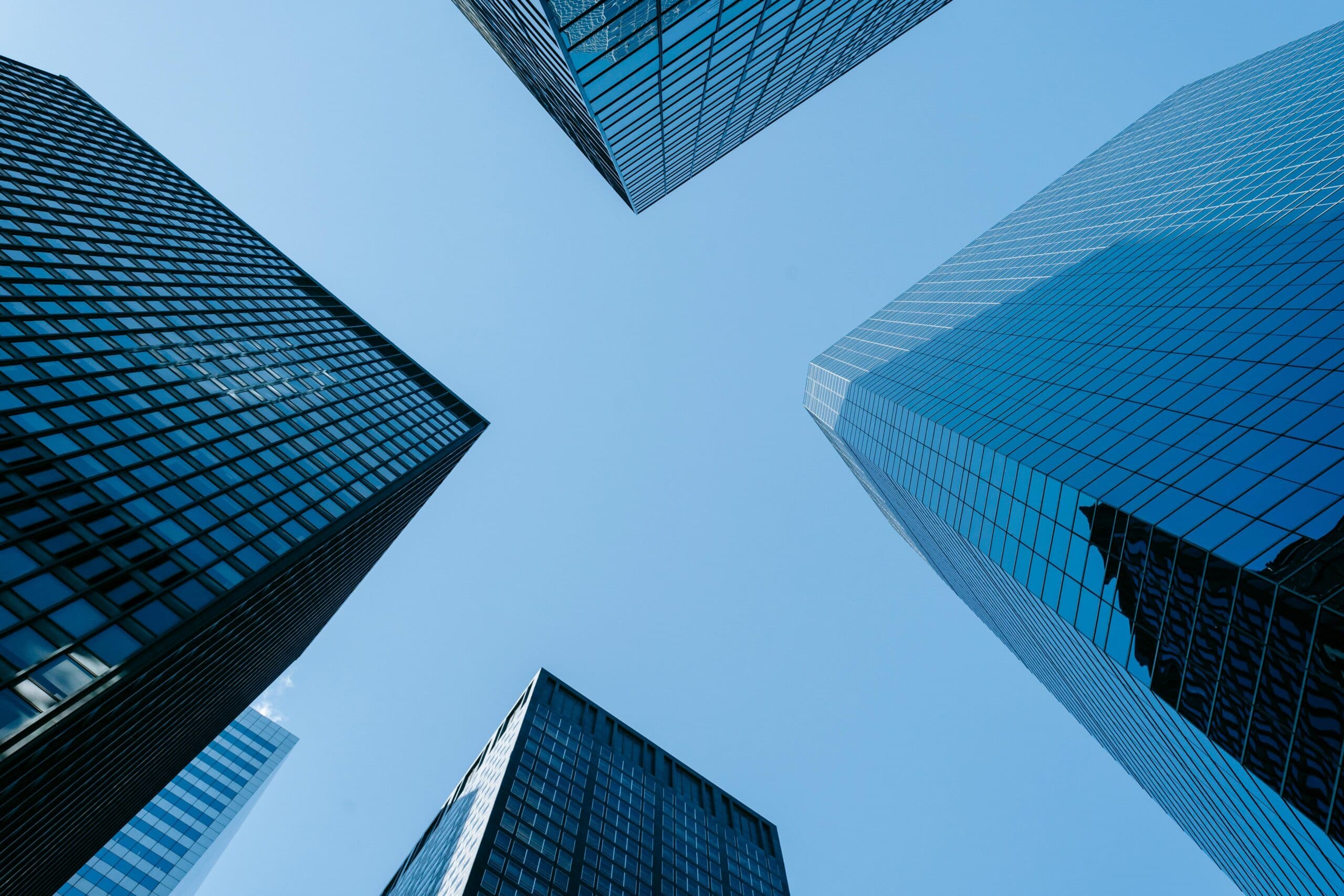 pexels-laura-tancredi-7078666 empresas